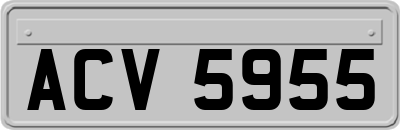ACV5955