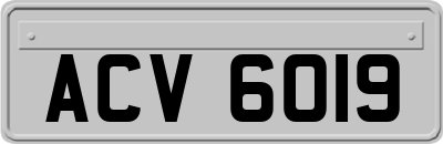 ACV6019