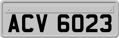 ACV6023
