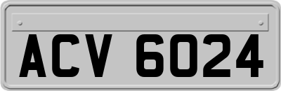 ACV6024