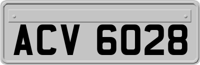 ACV6028