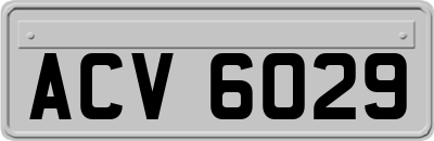 ACV6029