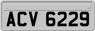 ACV6229