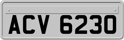 ACV6230