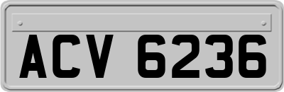 ACV6236