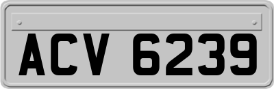 ACV6239