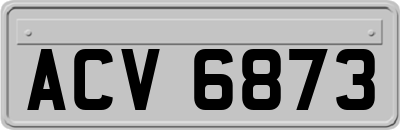 ACV6873