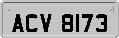 ACV8173