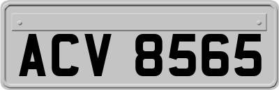ACV8565