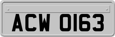 ACW0163