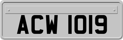 ACW1019
