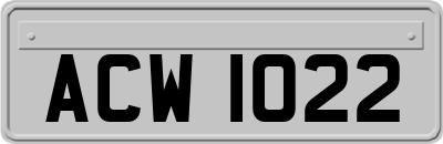 ACW1022