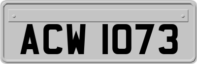 ACW1073