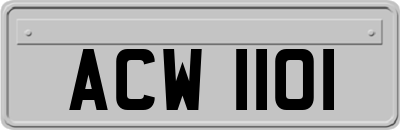 ACW1101