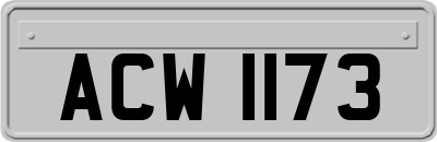 ACW1173