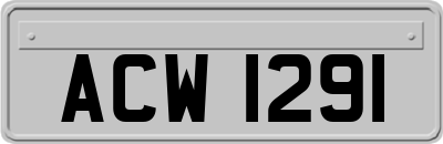 ACW1291