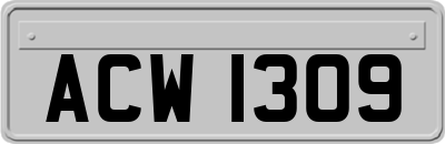 ACW1309