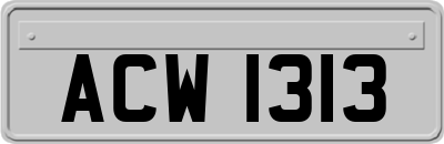 ACW1313