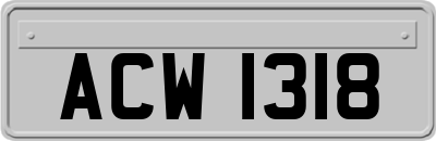 ACW1318