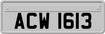 ACW1613
