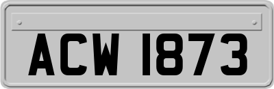ACW1873