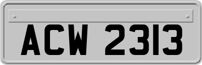 ACW2313