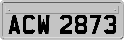ACW2873