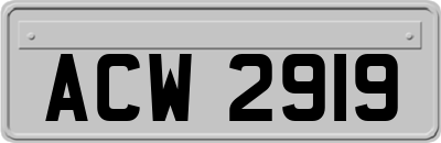 ACW2919
