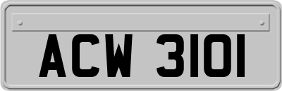 ACW3101