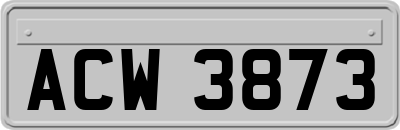 ACW3873