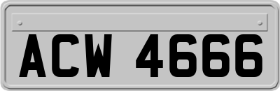 ACW4666