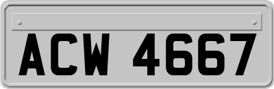 ACW4667