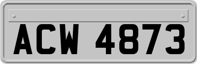 ACW4873