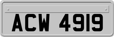 ACW4919