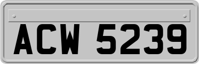 ACW5239