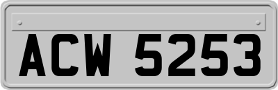 ACW5253