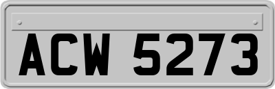 ACW5273