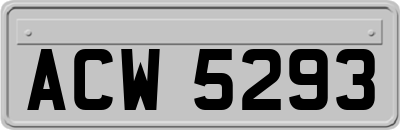 ACW5293