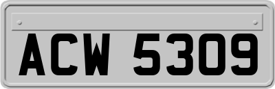 ACW5309