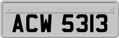 ACW5313