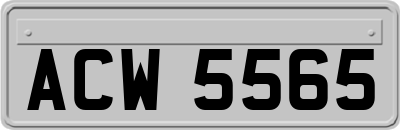 ACW5565