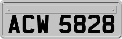 ACW5828