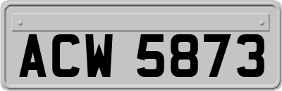 ACW5873