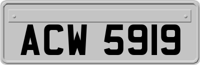 ACW5919