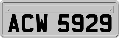 ACW5929