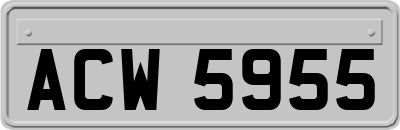 ACW5955
