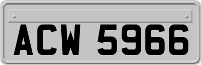 ACW5966