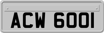 ACW6001