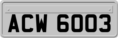 ACW6003