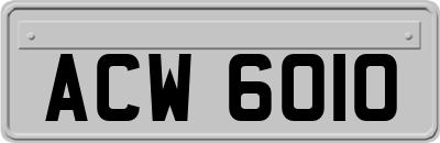 ACW6010